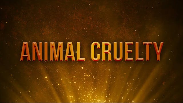 Animal Cruelty episode thumbnail