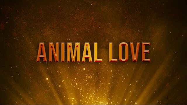 Animal Love episode thumbnail
